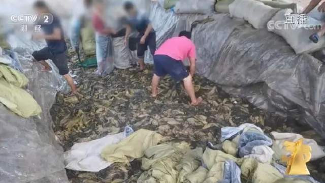 医美 岁岁年年今又是！今年的“3·15”晚会提到了哪些消费乱象？