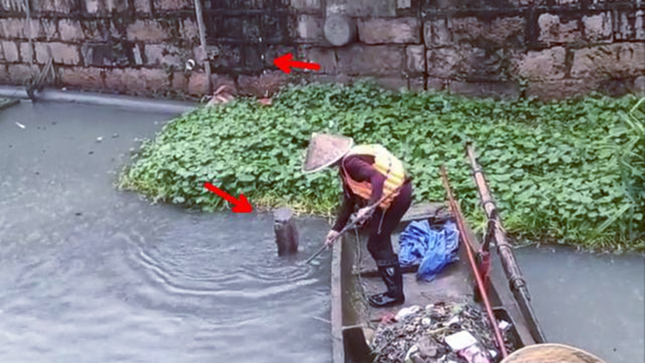 温州|城市河道里钓获“黑鱼王”，环卫工划船来帮忙捞鱼，网友：不能吃