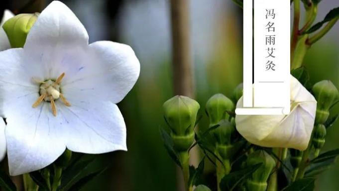 臀部|情绪：怎么控制负面情绪？这几个穴位，务必记牢