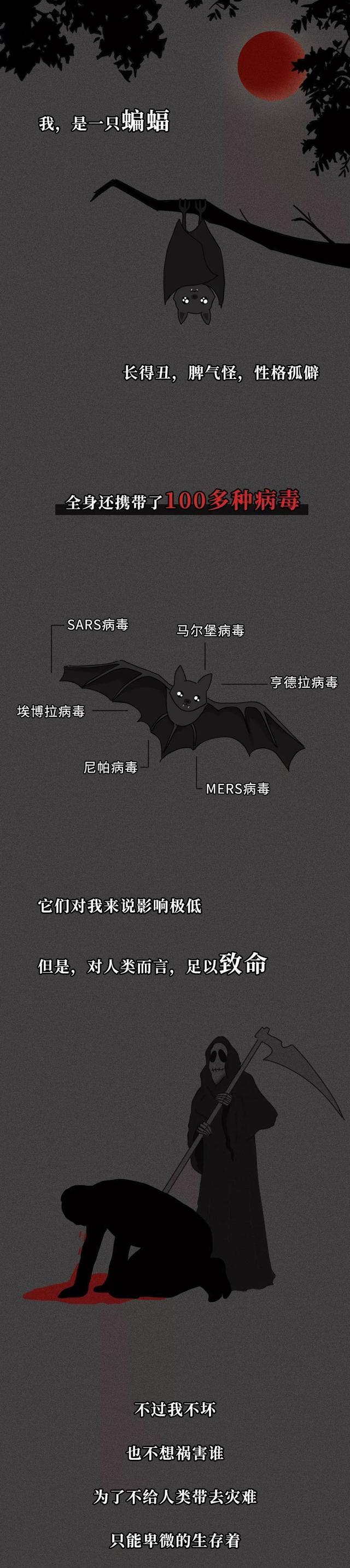 漫画|一只蝙蝠的自述：不要再吃“野味”了！（漫画解析）请管住嘴
