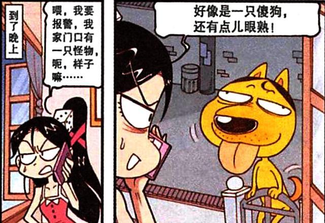 豆豆|月朗星稀之夜,茜茜推开窗户,发现一条“单身狗”,豆豆:是我啊!