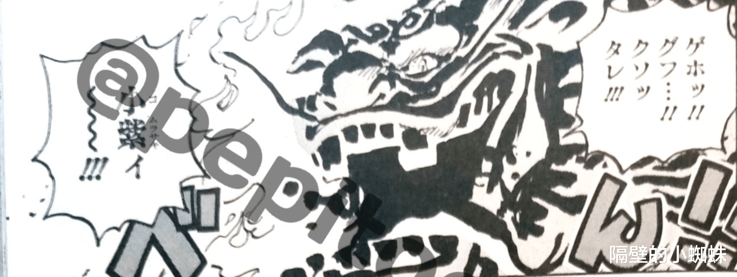 传次郎|海贼王1048话,孔明灯宣布黑炭大蛇已死,传次郎才是日和的爱人