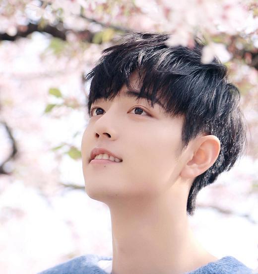 游客照|明星樱花游客照曝光，躲过了李沁范丞丞，却被肖战鞠婧祎迷住了！