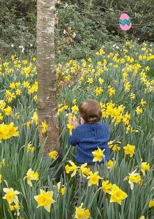 英国女王孙女尤金妮公主社交媒体分享儿子复活节可爱照片