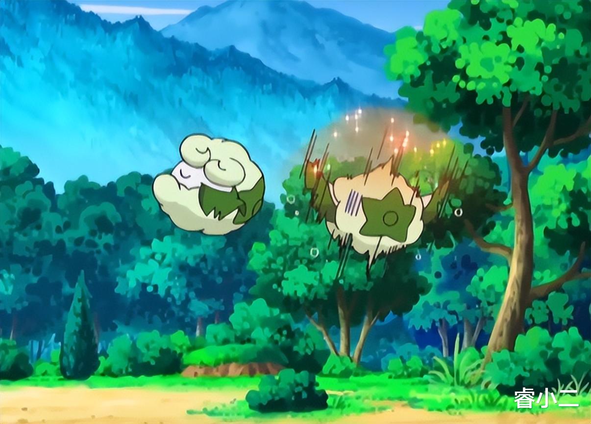 宝可梦|《宝可梦》每季都会有的恋爱故事，木棉球如何追到心仪对象？