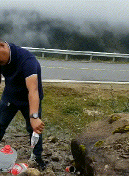 投影仪|女老师课后忘关投影仪，搜索记录被公开