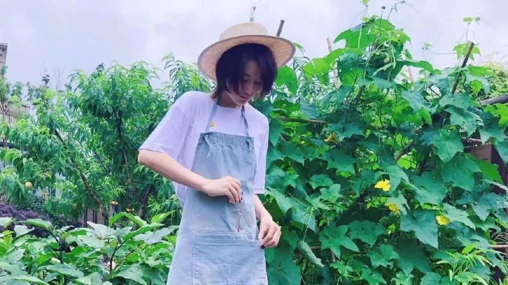 张馨予|离开李晨8年后，张馨予4000万后花园火了：终于活成了别人羡慕的模样