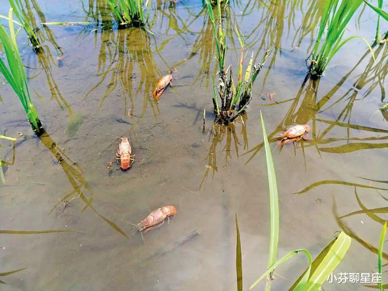 电影|?日本某动画热映，各电影院人满为患飘恶臭