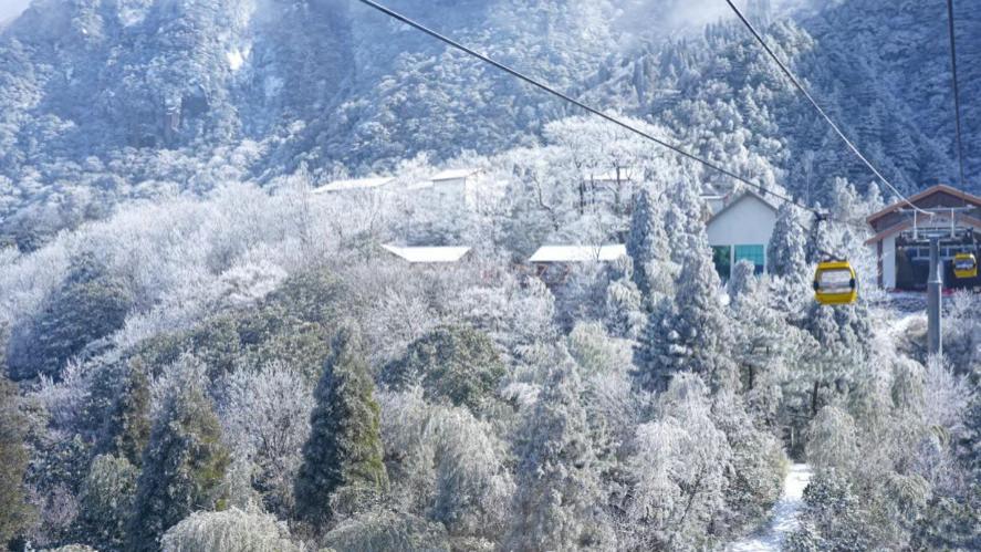 美丽的庐山，又又又下雪了！