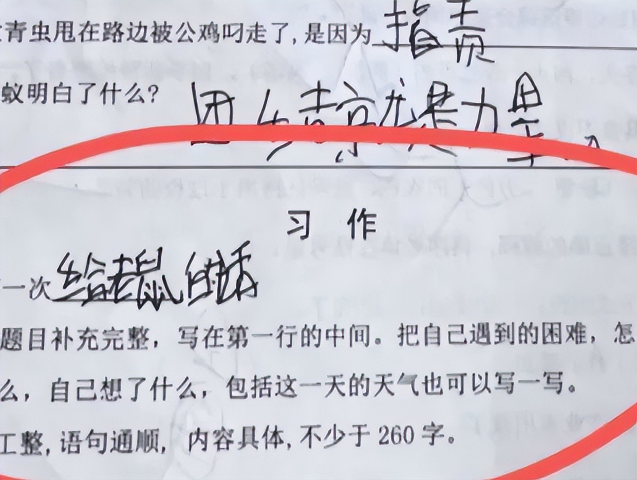 小学生作文《不该说的话》, 生动还原挨打现场, 老师也被牵扯其中