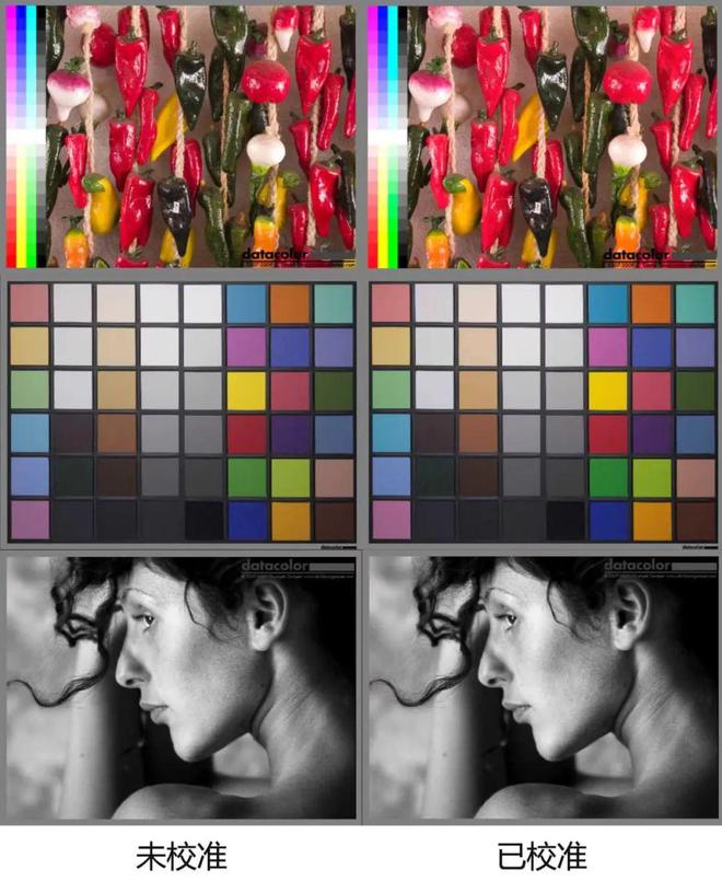 高通骁龙|12代酷睿P系列处理器加持|惠普战66五代高性能轻薄本