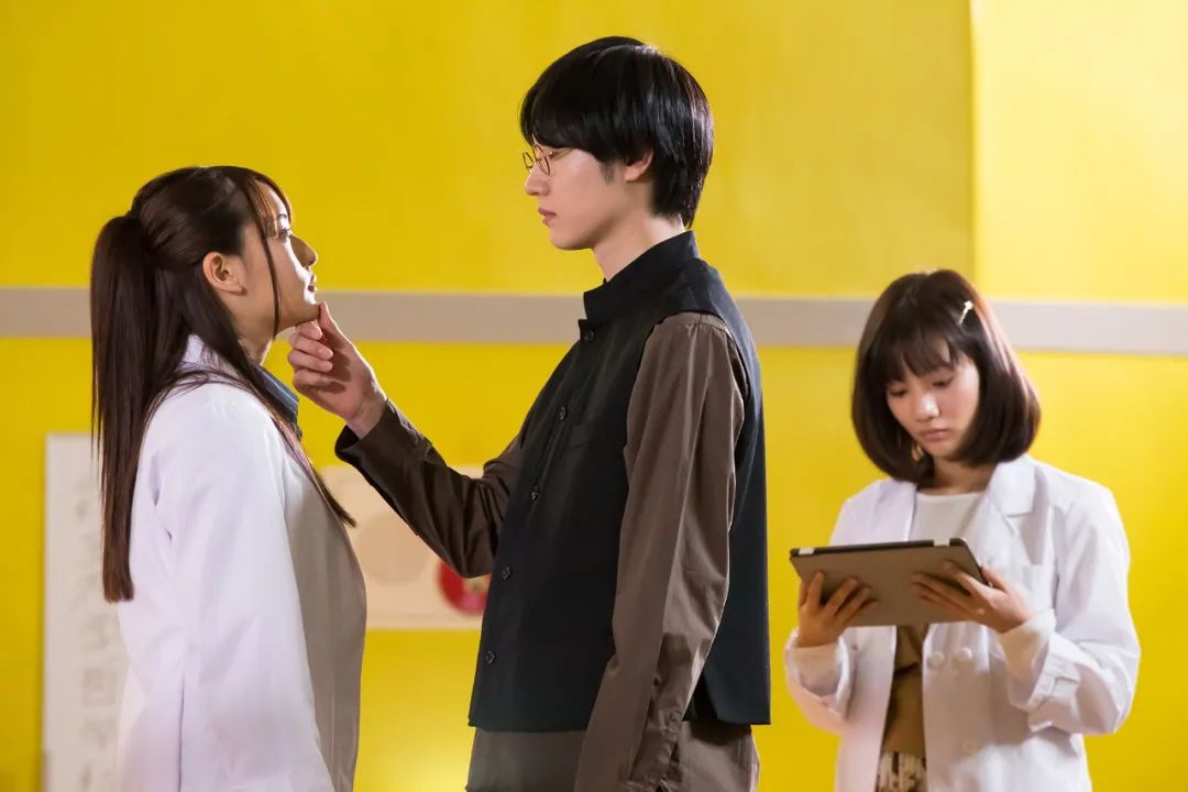 彩云国物语|从《彩云国物语》到《月刊少女》,内娱怎么又盯上了日本IP?