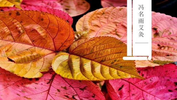 痛风|痛风：尿酸数值高，痛风频繁发作怎么办？2个中医方，帮你缓解