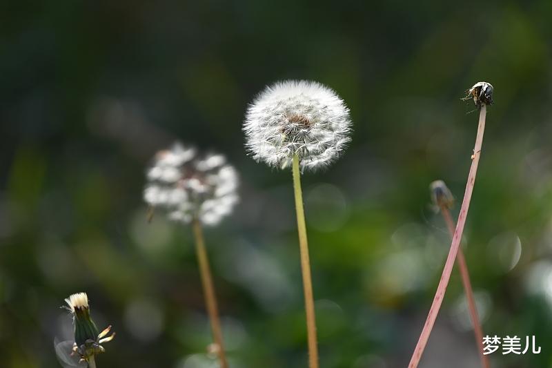 沉迷婚外情的人，用恶毒之心尽毁一切，令人扼腕叹息