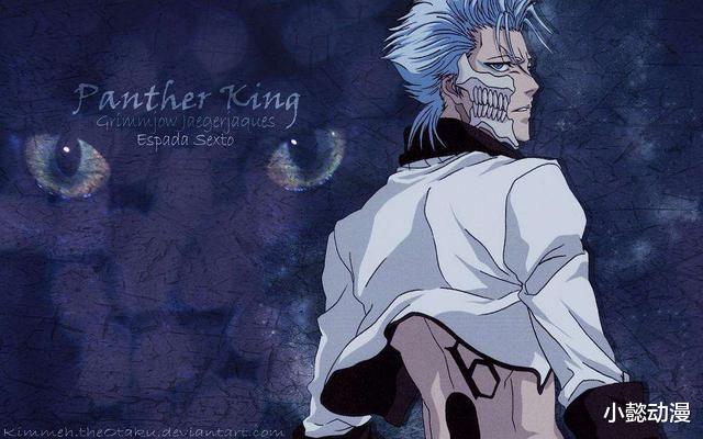 死神|《死神》:为什么这么多人讨厌井上织姬,是因为这些原因吗?