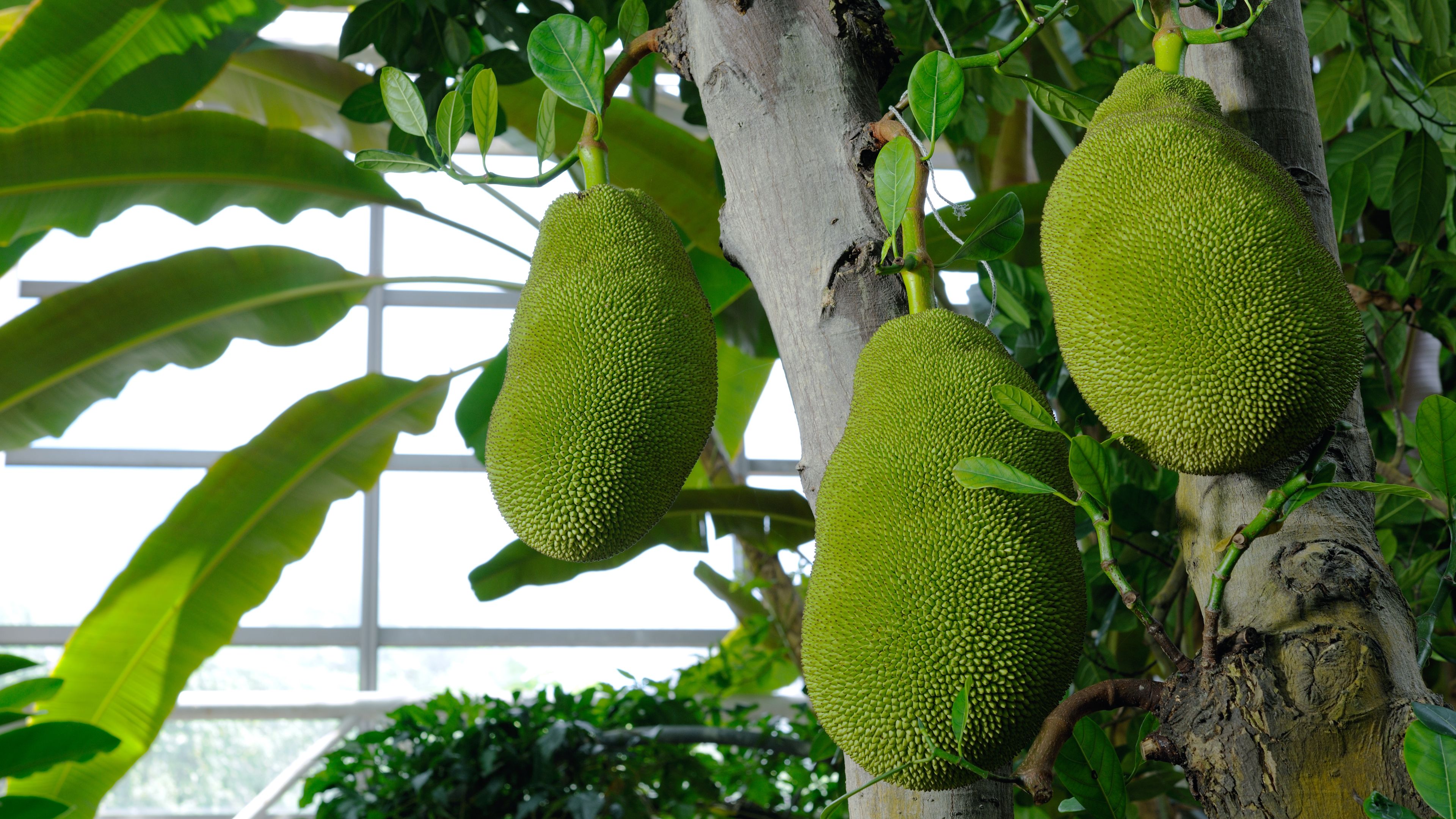 |家庭的快乐中继站——海信原画旗舰电视E5H体验分享