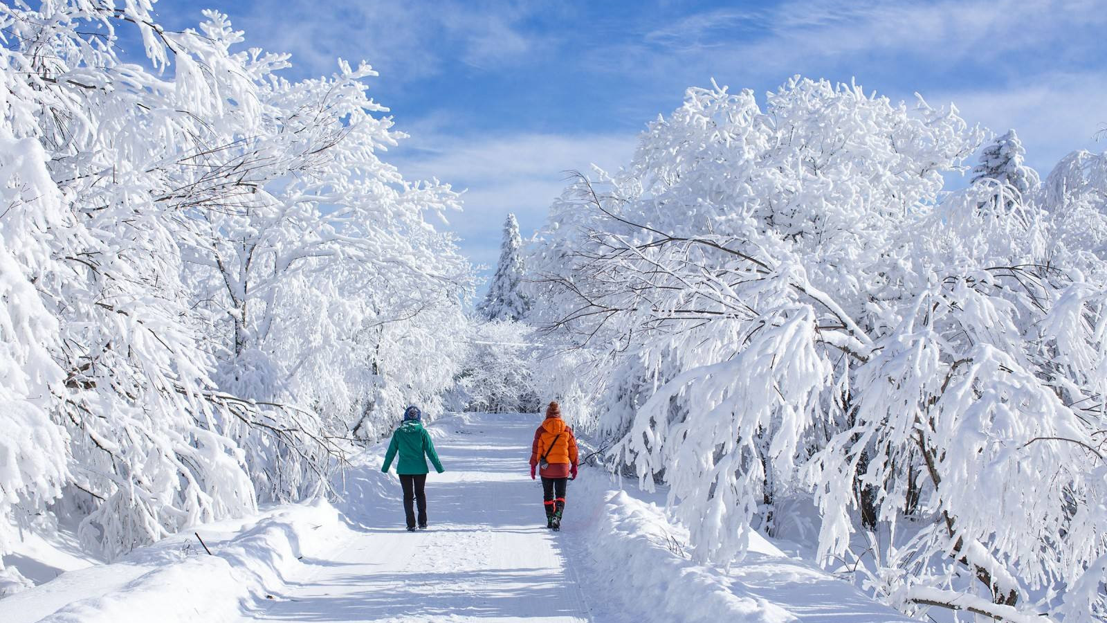 长白山|“瑞雪兆丰年”！国内最美雪景之地，一定不要错过！