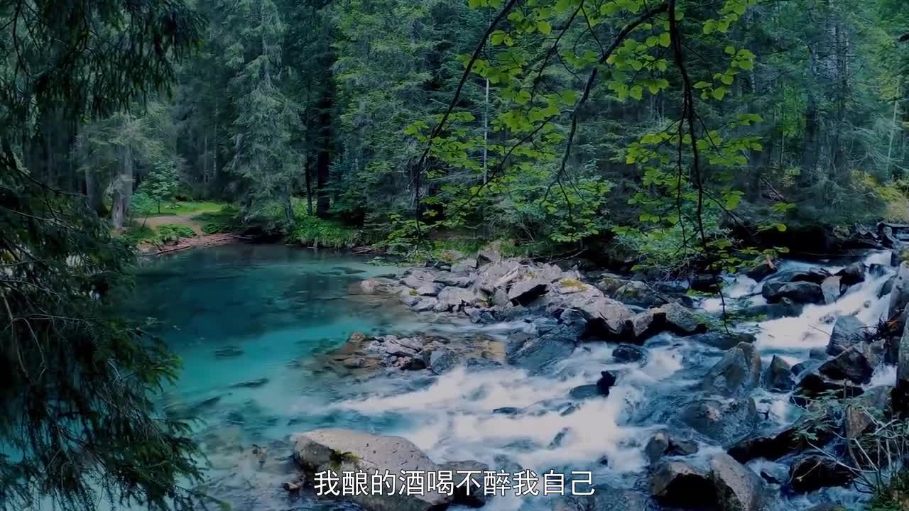 王琪-可可托海的牧羊人