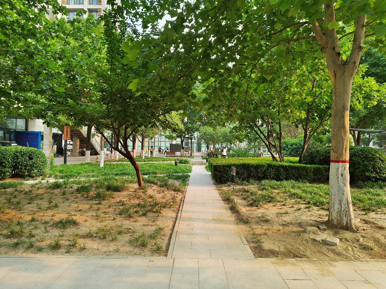 芯片|?vivo S15 pro初体验:性能旗舰轻薄美观,拍照游戏样样拿手