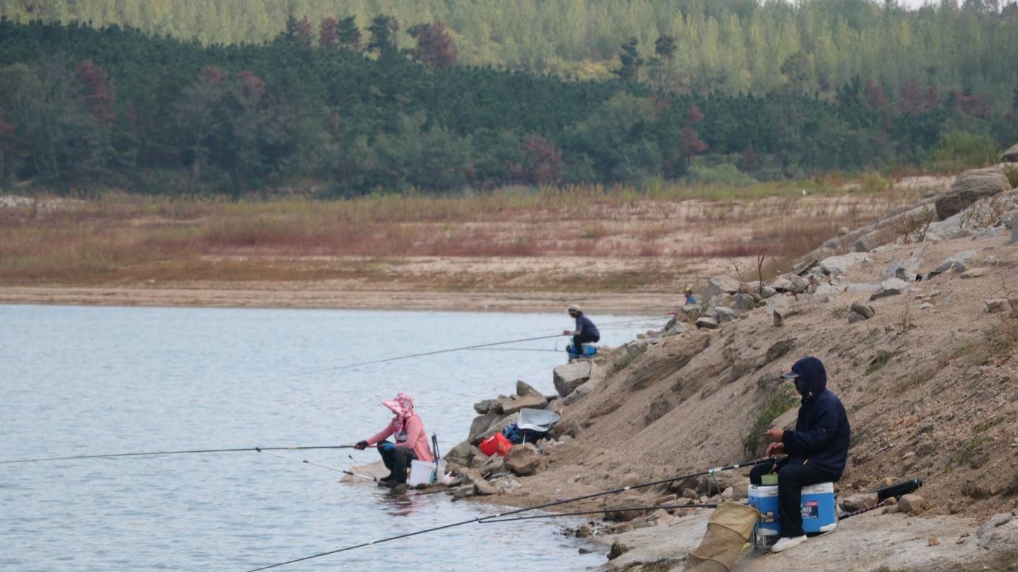 辽宁省|辽宁钓友水库钓到巨青，有人当场出7000，钓鱼也能发家致富吗？