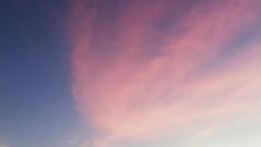 【原创二十四节气之霜降】采秋色