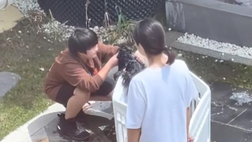 邹市明|邹市明10岁儿子曝近况！轩轩亲自给宠物狗洗澡，宅院内景气派豪奢