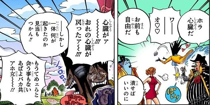 木叶丸|海贼1052情报:绿牛正式登场,三年不吃饭之谜解开,疑是植物系能力!可“御花飞行”