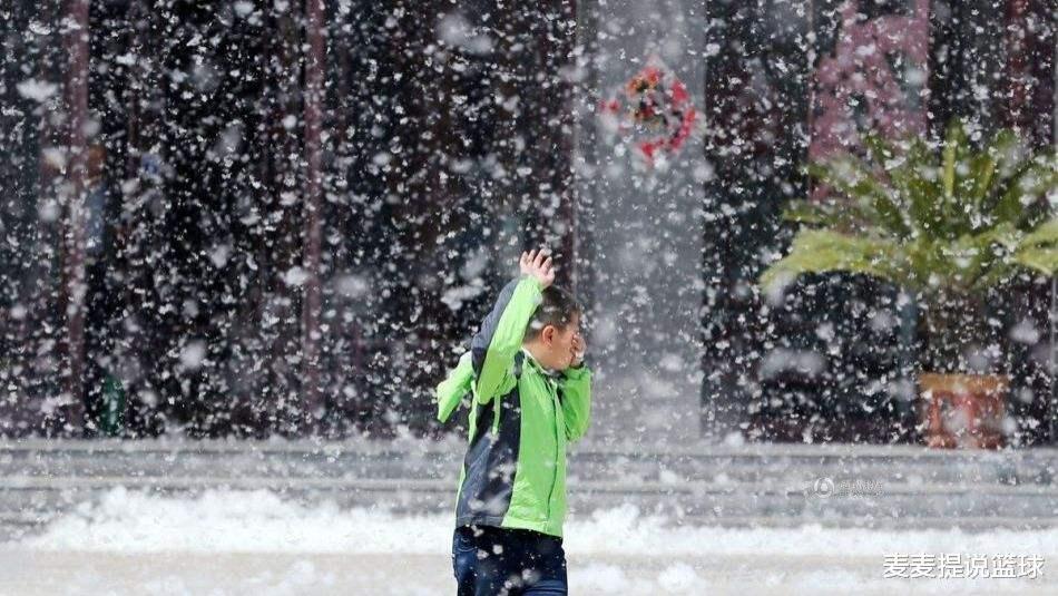 |杨絮满天飞，带来4大危害，网友头疼不已：能否全面“禁种”？