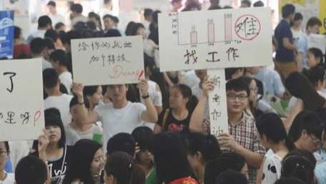 求职|给求职机构送了4万“智商税”，我还是没找到工作