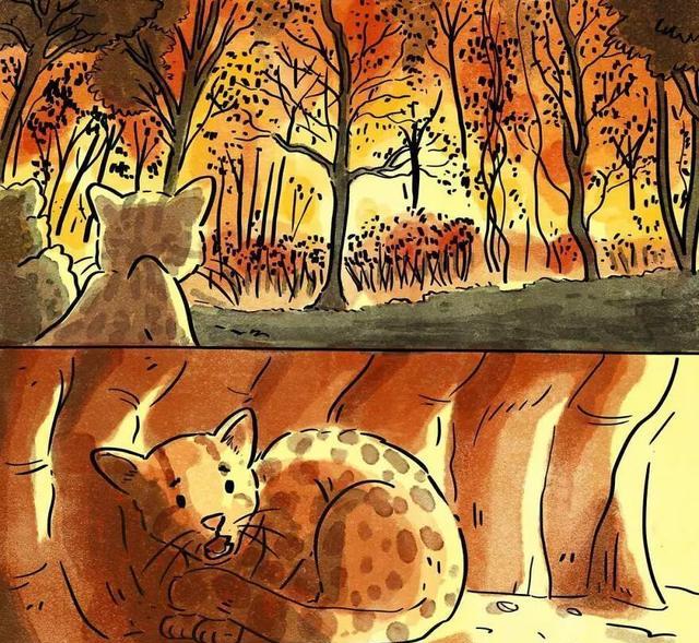 蟒蛇|这2组漫画故事,没有一个字,却能触动我们内心最柔软的地方