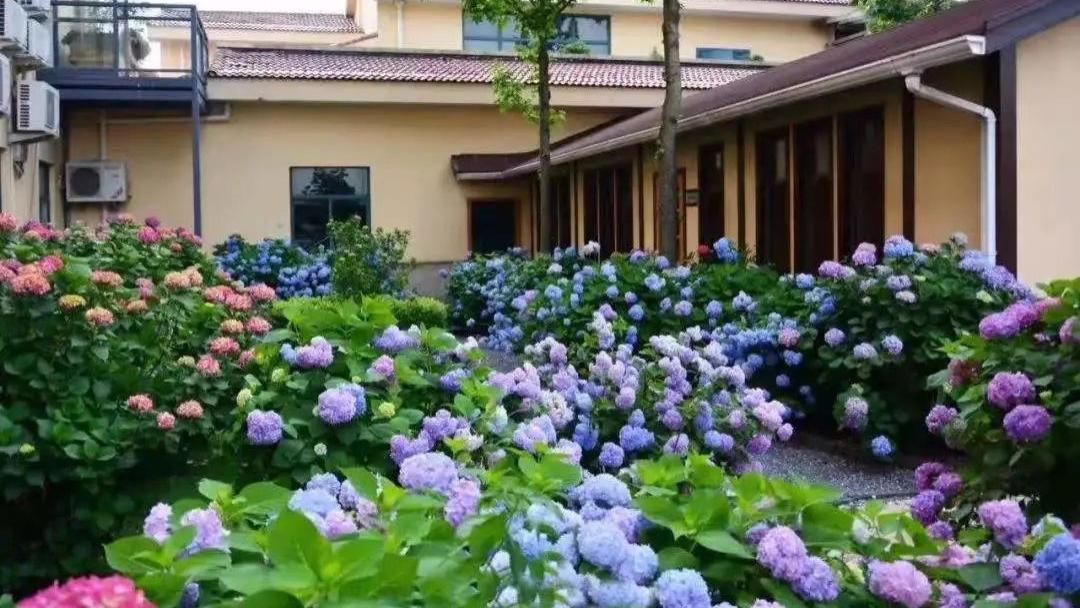 花园风格的重要组成部分——植物风格，该如何搭配呢？