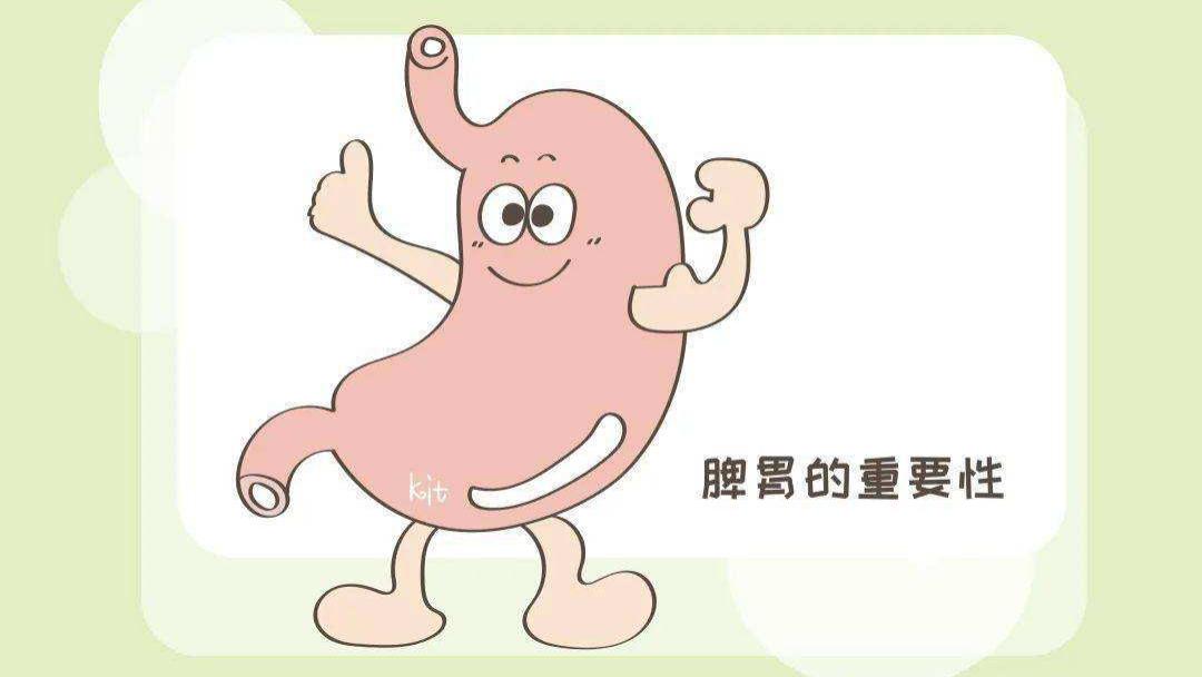 脾胃|脾胃专家的治胃狠方，降火除湿热，清肠毒，排宿便 补脾胃 横扫胃病