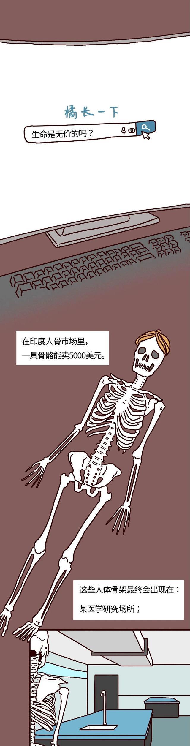 黑市|你的尸体，在“黑市”值多少钱？（漫画科普）生命怎能明码标价？