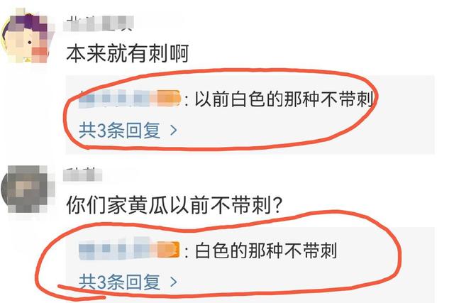 辛苦种出的黄瓜有刺, 农大学生懵了, 网友评论亮了