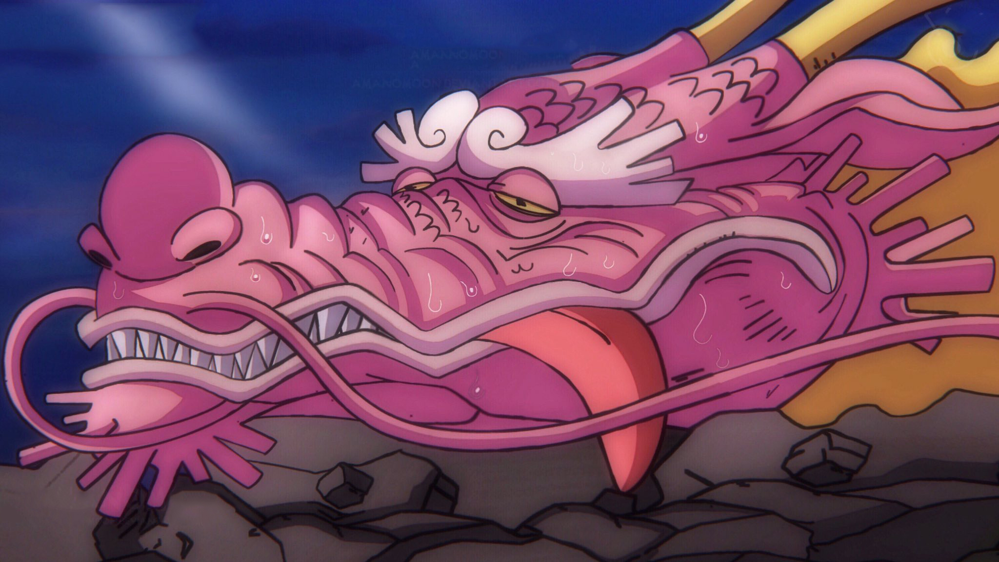 传次郎|海贼王1050话情报:成年桃之助即将亮相,传次郎称带来了新任将军