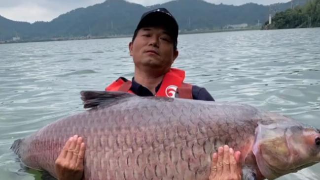 环保|渔乐杂谈：夏季钓鱼钓大鱼技巧分析