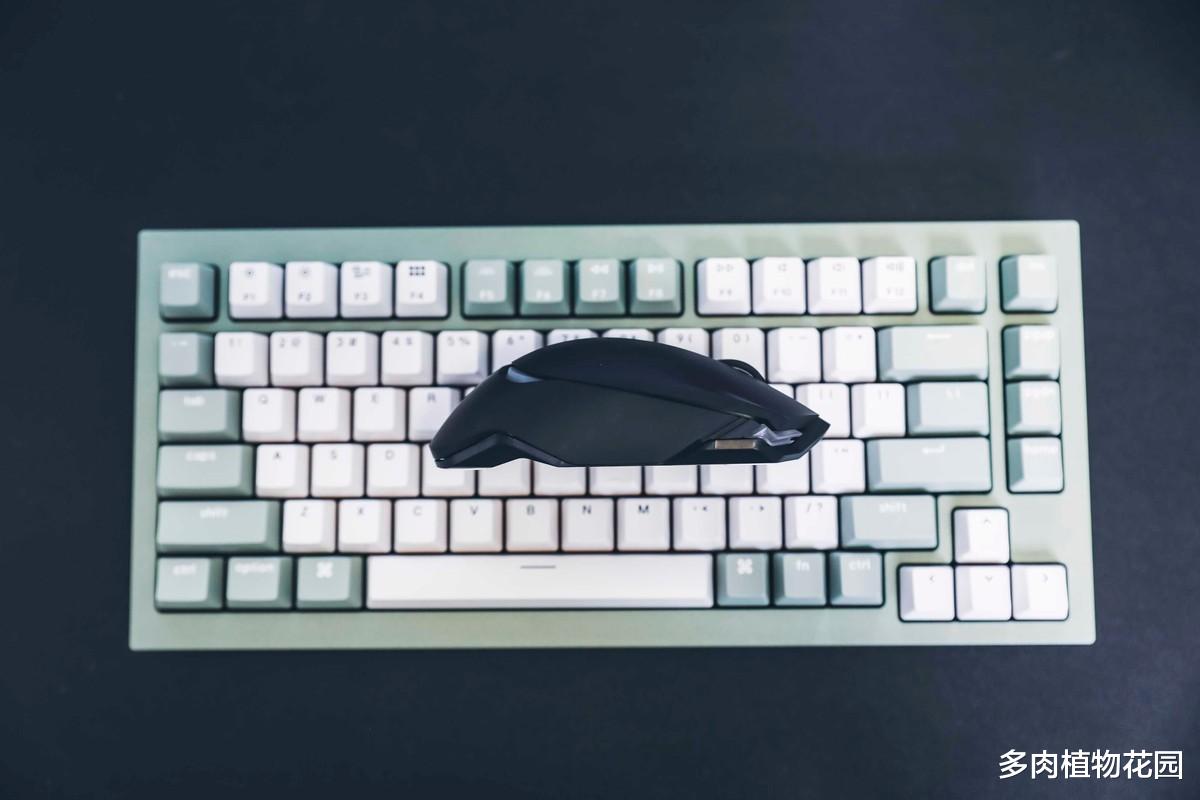 传感器|贱驴RS3无线游戏鼠标,让舒适度和竞技性并存