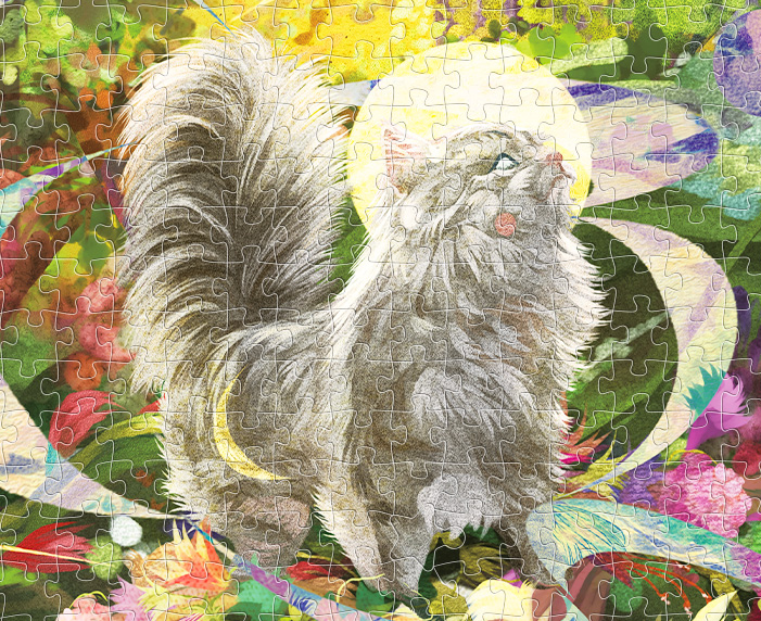 黑胡子|TOI图益动漫故事系列——夏天的浪漫拼图,来看看《夏眠蝉鸣》