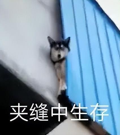 OLED|这样一台,出得了厅堂下得了厨房的本本,试问谁不爱呢