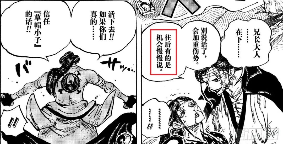 木叶丸|海贼1052情报:绿牛正式登场,三年不吃饭之谜解开,疑是植物系能力!可“御花飞行”