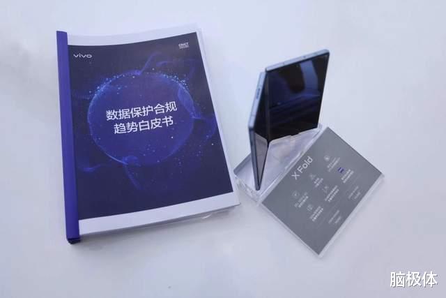 |vivo，硬件安全的爱与雷霆