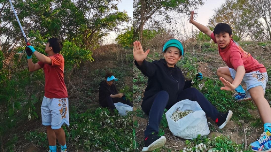 |邓亚萍带儿子野外摘花！直接坐泥地里不怕脏，干活卖力摘满4大袋