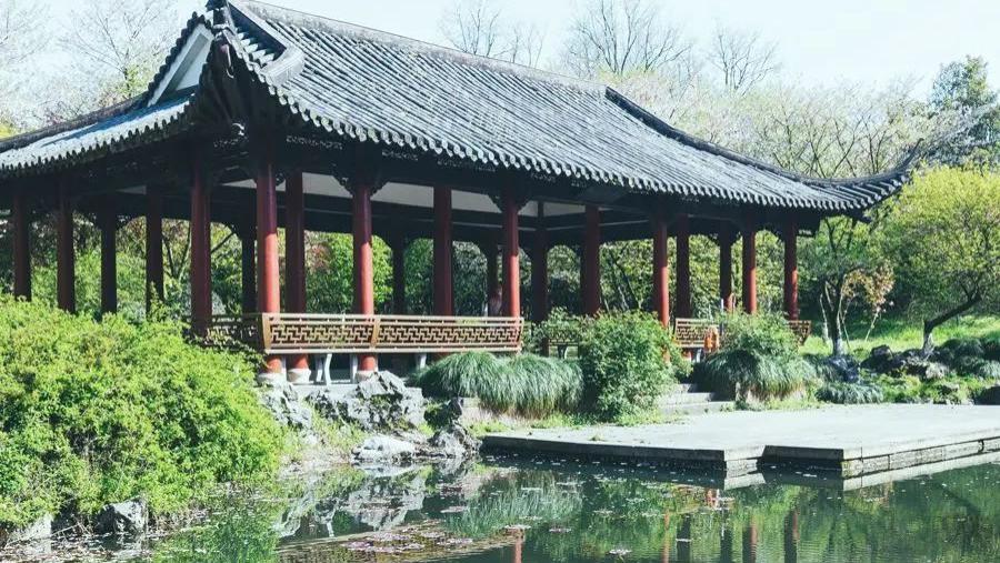 杭州植物园|杭州春游正当时，一起享受春光去！踏青出游路线推荐攻略