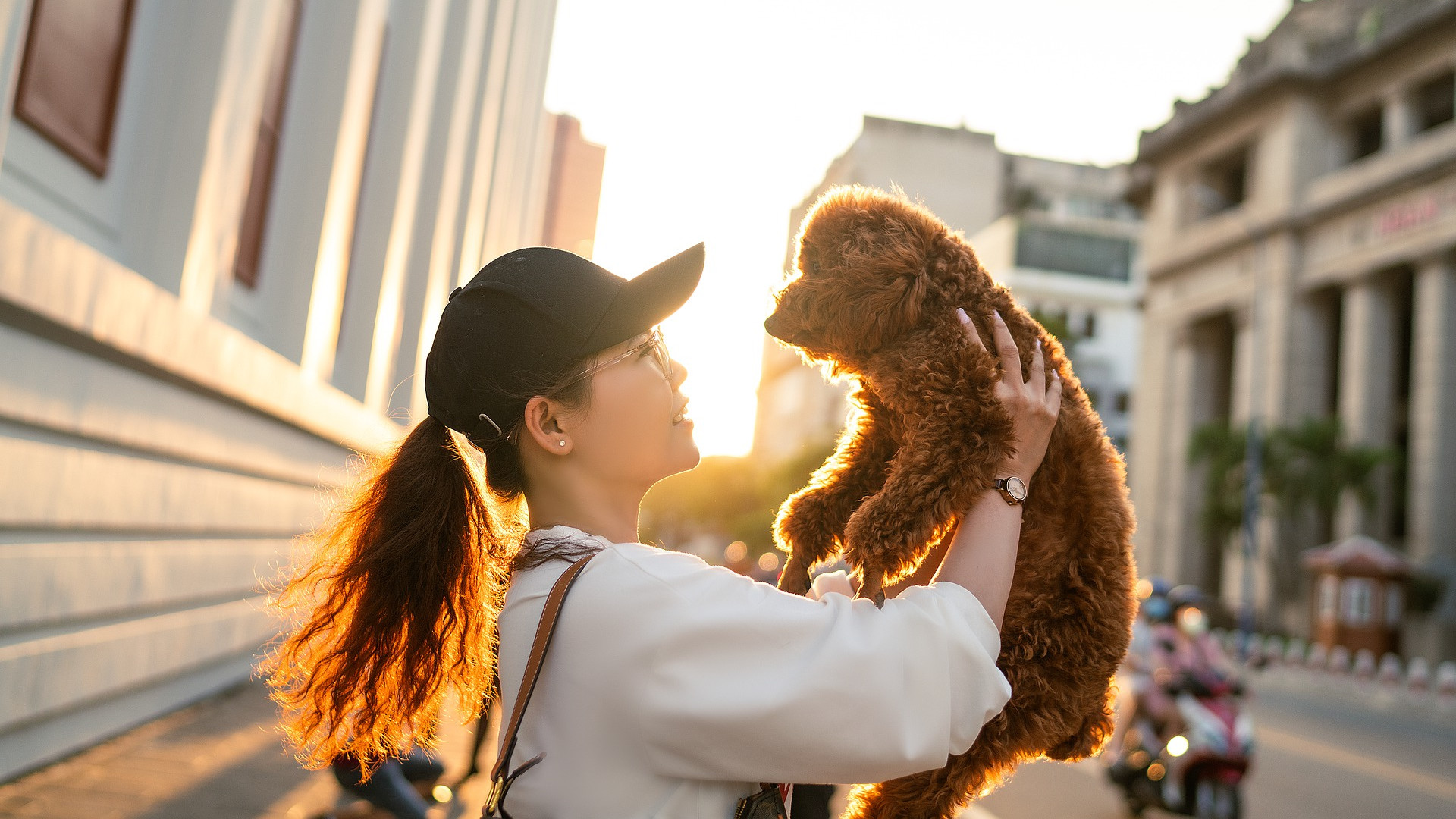 九型人格|6个测试工具了解自己的性格、兴趣、价值观