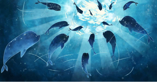 海洋之歌|《海洋之歌》疗愈人心的，或许除了小男孩，还有小海豹