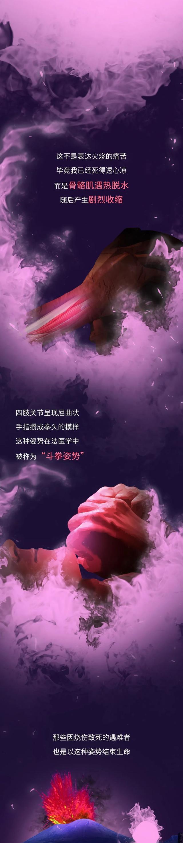 acgn漫评|火化的时候,“遗体”会经历什么呢?(漫画科普)胆小勿进!