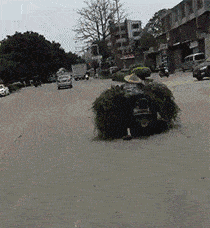 盜版|“你見過最離譜的盜版商品是什么？”