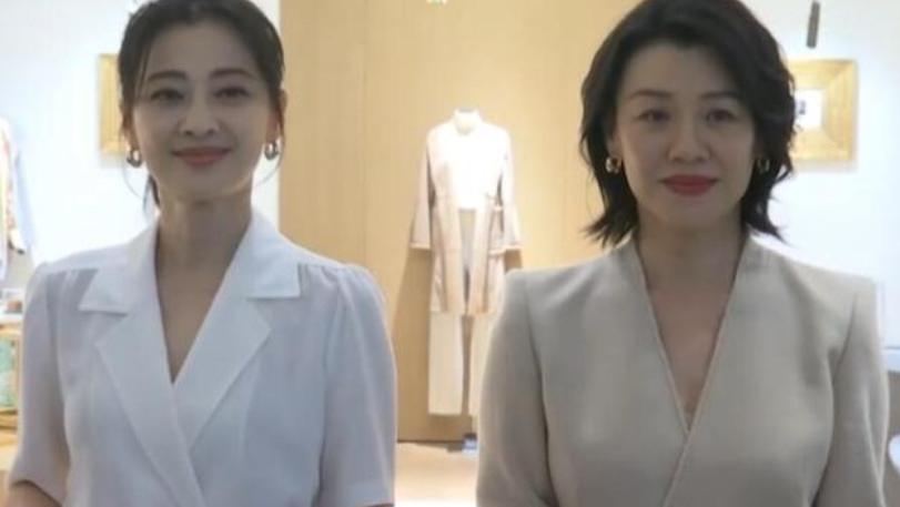 梅婷|刘琳拒演《父母爱情》，梅婷极力劝说，最终成就经典