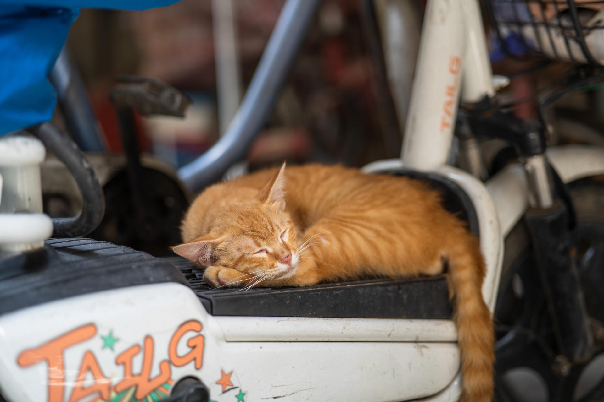 GPU|森养 75mm F1.8 镜头评测,轻巧且带有「复古」之味