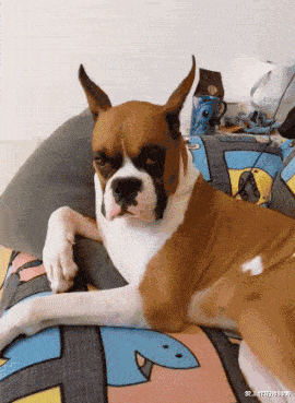 投影仪|女老师课后忘关投影仪，搜索记录被公开